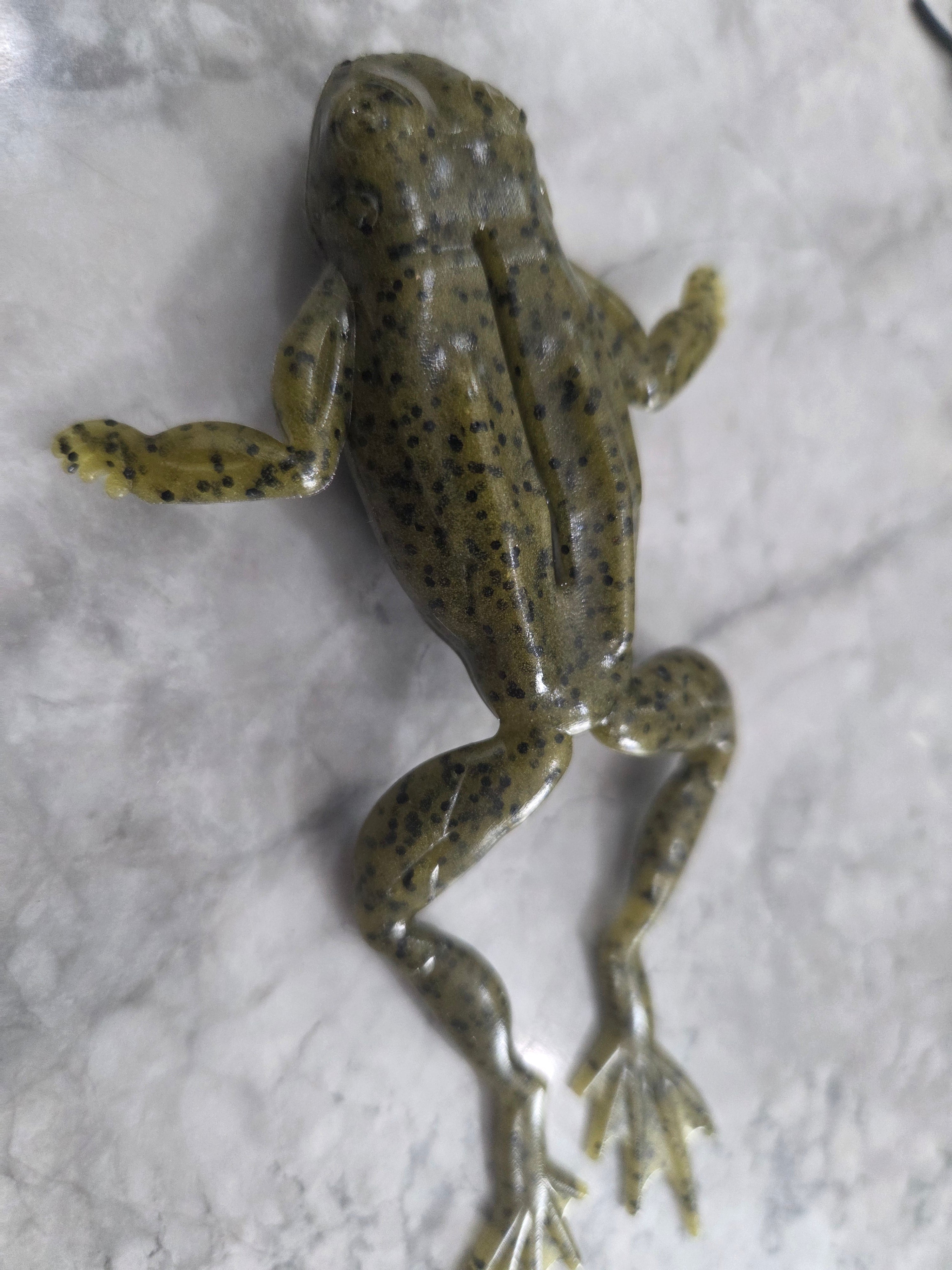 6" extended realistic floating frog