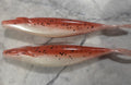 5 inch Saka winged shad 8pc many colors