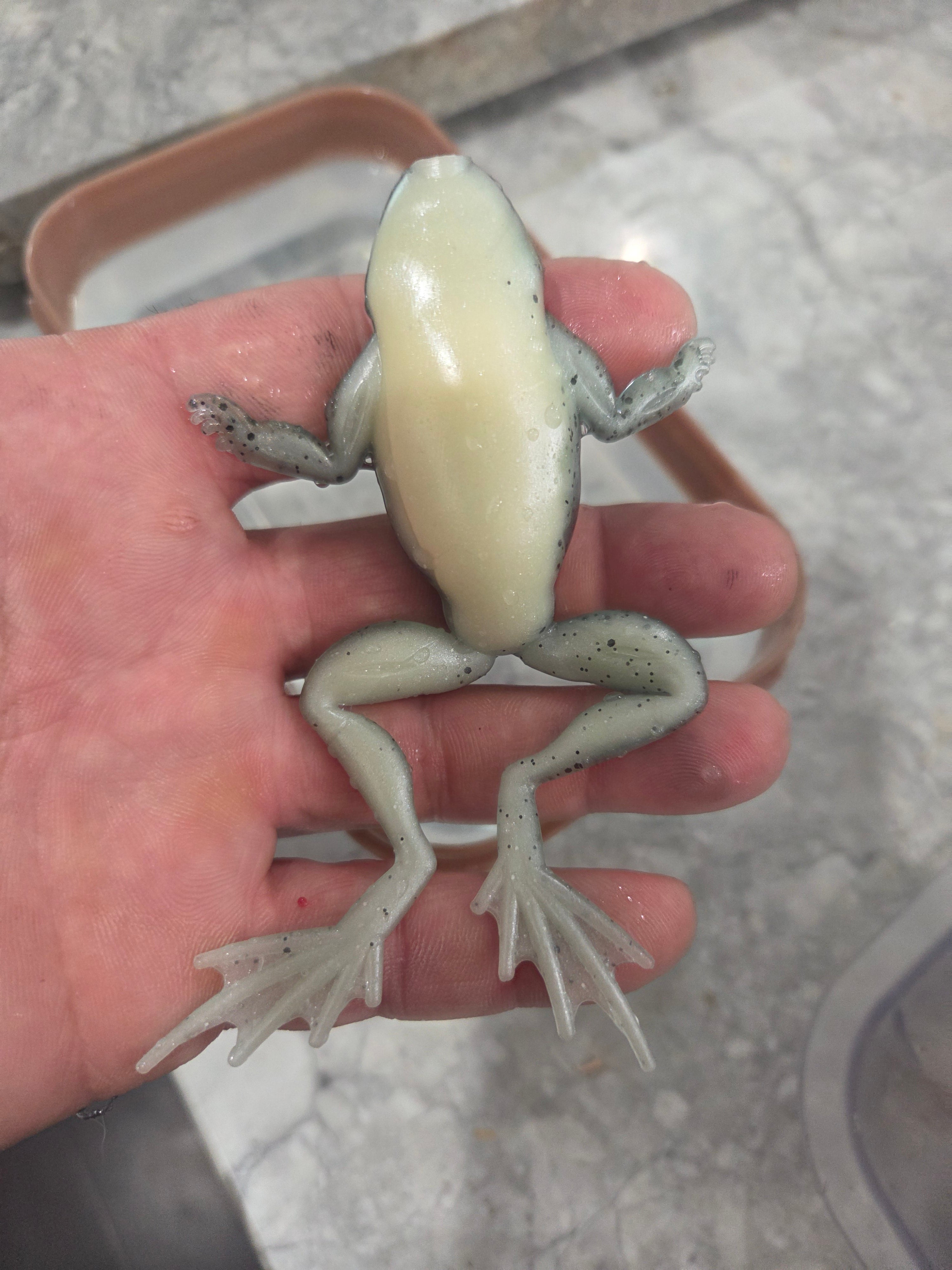 6" extended realistic floating frog