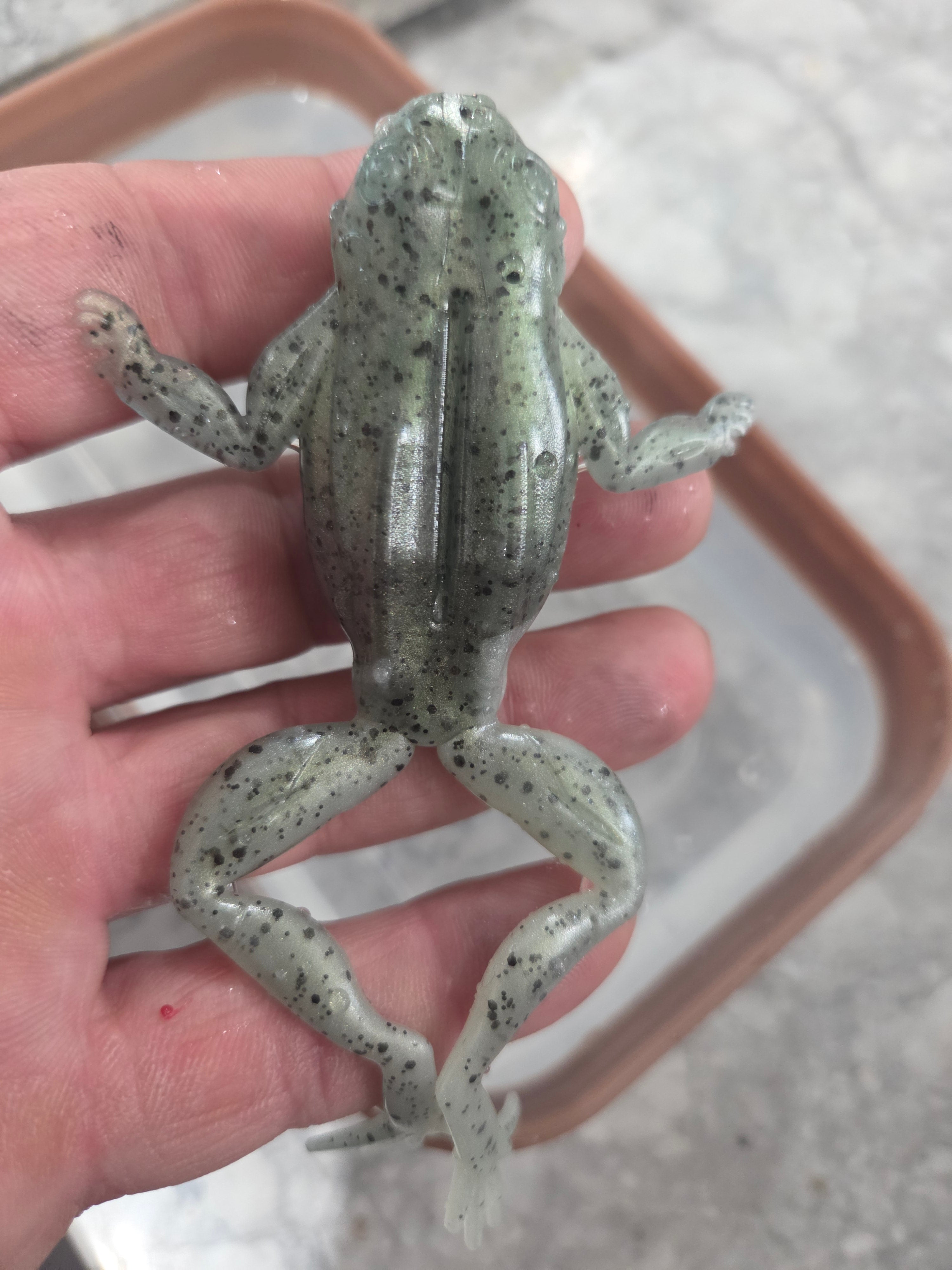 6" extended realistic floating frog