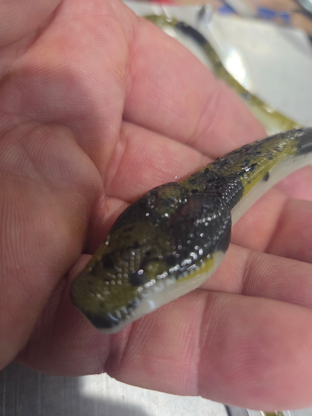 16" Anaconda Floating Snake 2pc